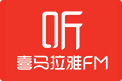 澳星淺淡海外經(jīng)
